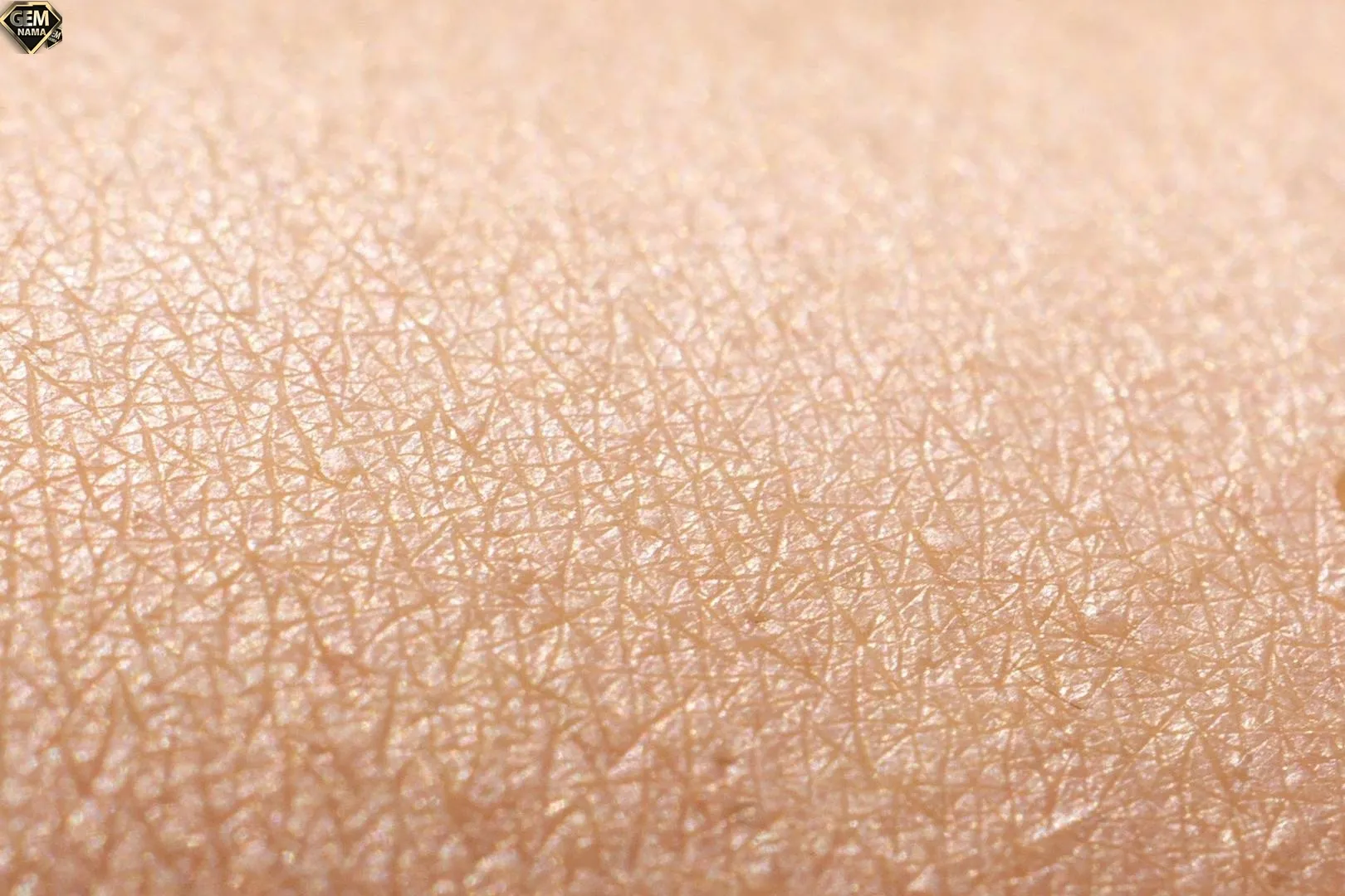 چرا باید پاکسازی انجام بدیم