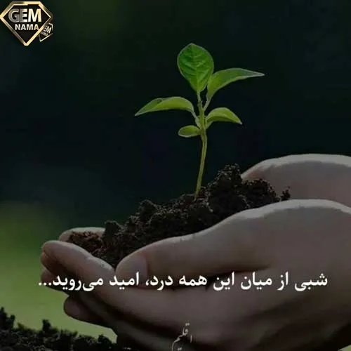 آهنگ بیا بیا برگرد یه شبم نمیشه با تو قهر کرد