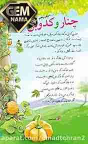 درک مطلب درس پنجم فارسی چنار کدوبن پایه ی پنجم