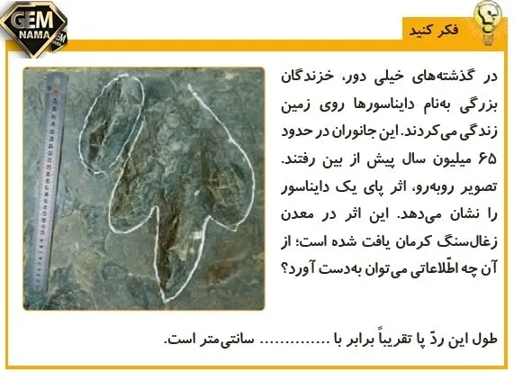 جواب فکر کنید صفحه 29علوم پایه ی پنجم