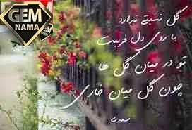 تحقیق درباره ی قالب غزل - پایه ششم