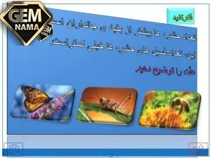 جواب فکر کنید درس چهارم علوم پایه ی پنجم صفحه 33