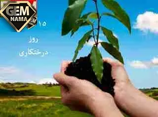 تحقیق در مورد روز درختکاری