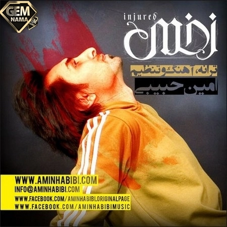 دانلود آهنگ زخمی از امین حبیبی