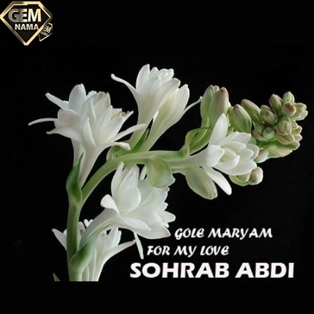 دانلود آهنگ جدید سهراب عبدی گل مریم