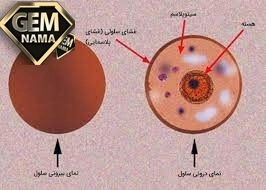 اطلاعات جمع آوری کنید صفحه۳۳ علوم تجربی پایه هشتم