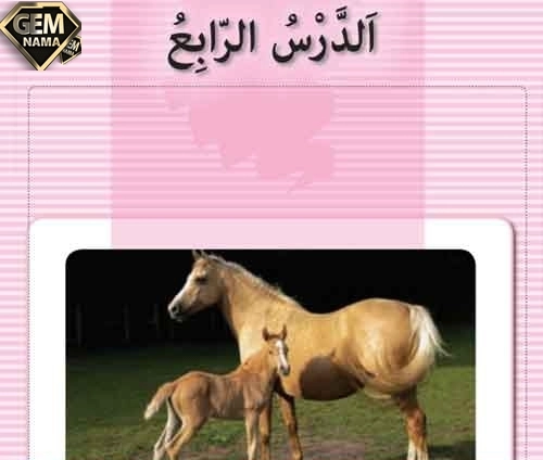 تمرین الرابع صفحه 55 درس 4 کتاب عربی پایه هشتم