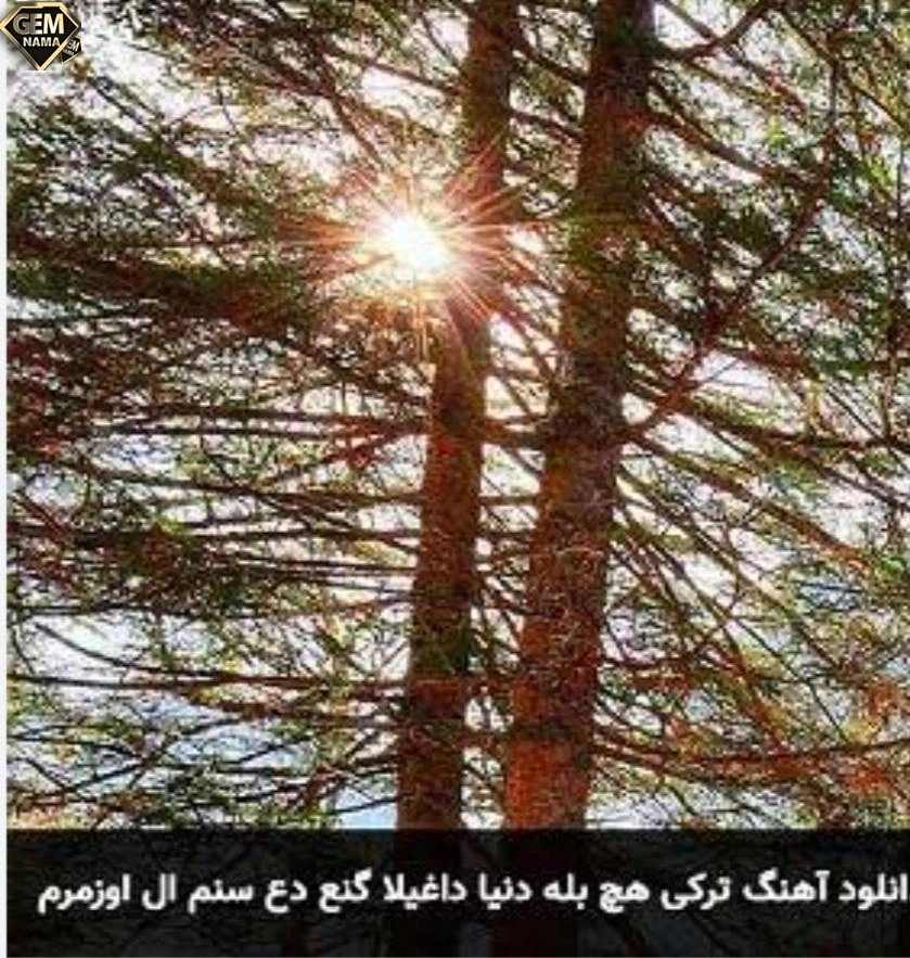 دانلود آهنگ niskilim kederim qatar qatardi