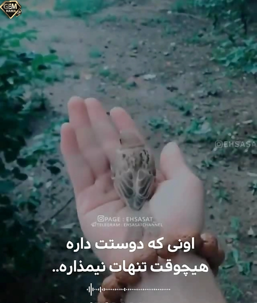 دانلود اهنگ اونی که دوست داره تنهات نمیزاره از سعید کرمانی