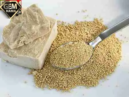 مخمر چیست و چگونه زیاد میشود