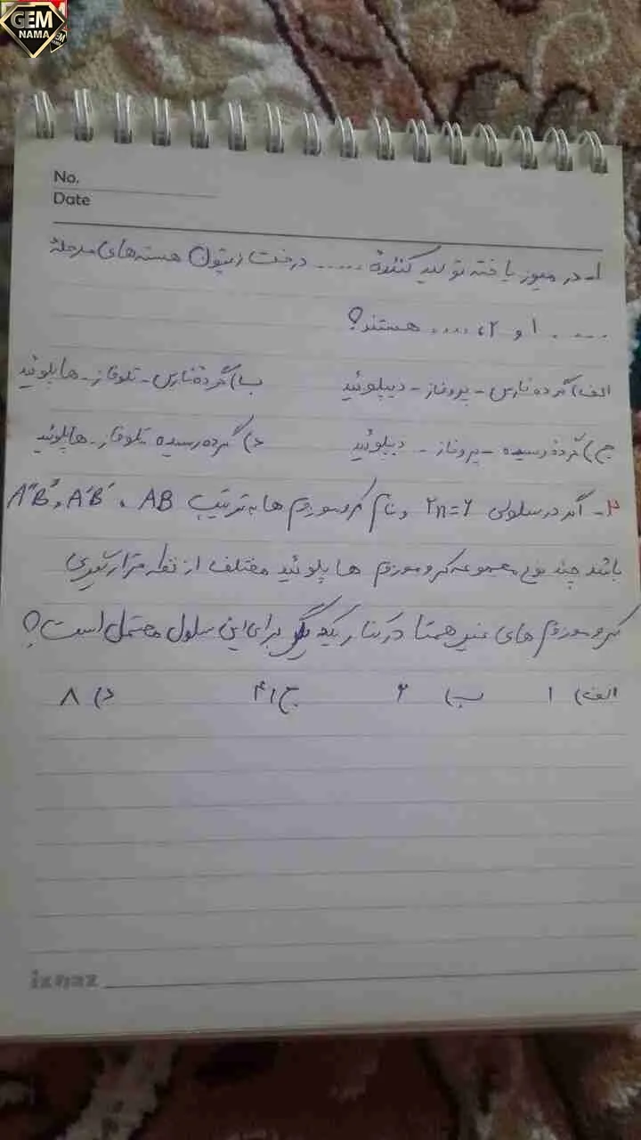 بیت بید مجنون در تمام عمر سر بالا نکرد