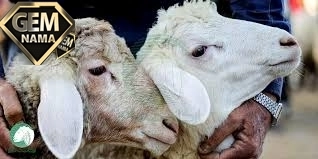 کلمه ای که به کشتن و تکه تکه حیوانات گفته میشود