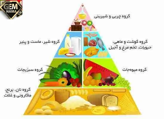 تحقیق درباره هرم غذایی