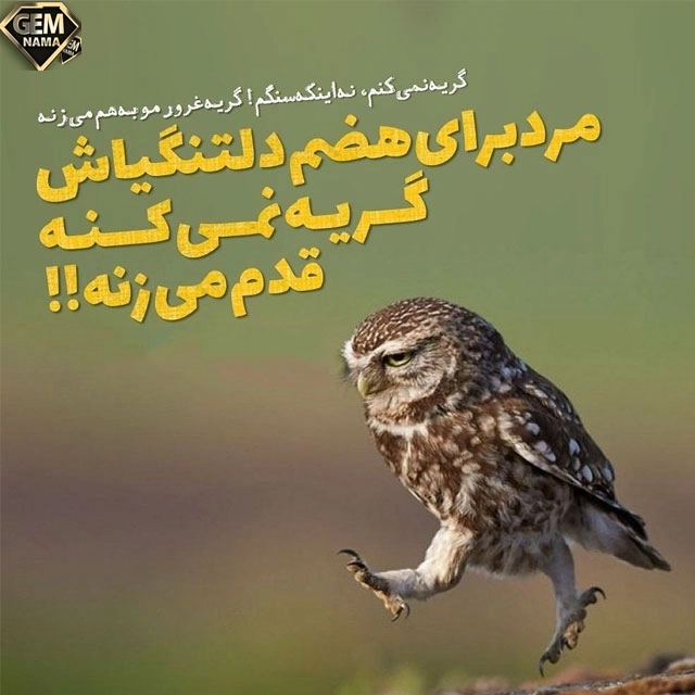 دانلود تکنوازی زور آبادی آهنگ دیوانه زنجیری