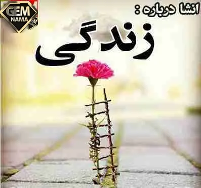 انشا در مورد زندگی