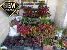 شما چگونه صرفه جویی می کنید