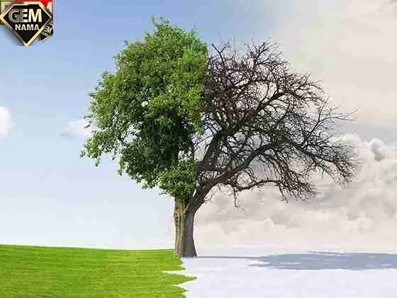 چرا روزهای تابستانی طولانی و روزهای زمستانی کوتاه هستند