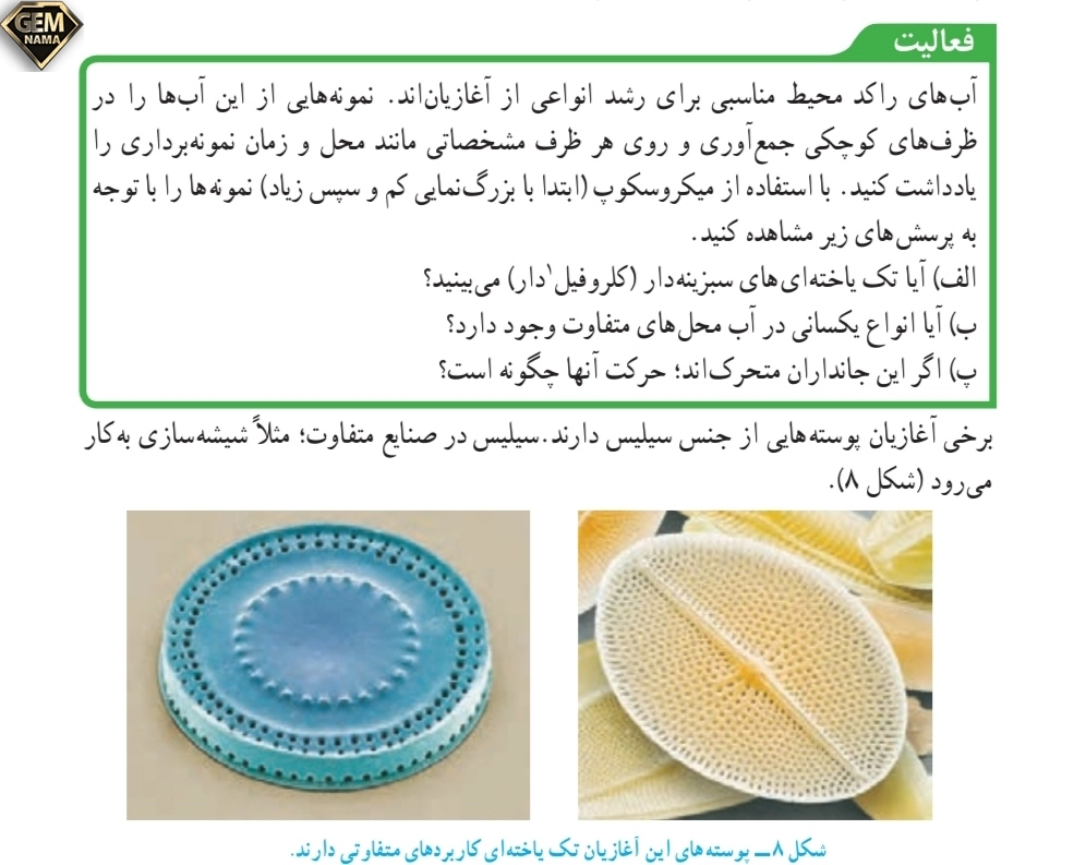 جواب فعالیت صفحه ۱۲۸علوم تجربی نهم