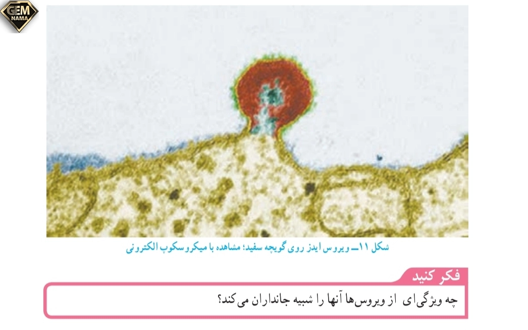 جواب فکر کنید صفحه ۱۳۰علوم تجربی نهم