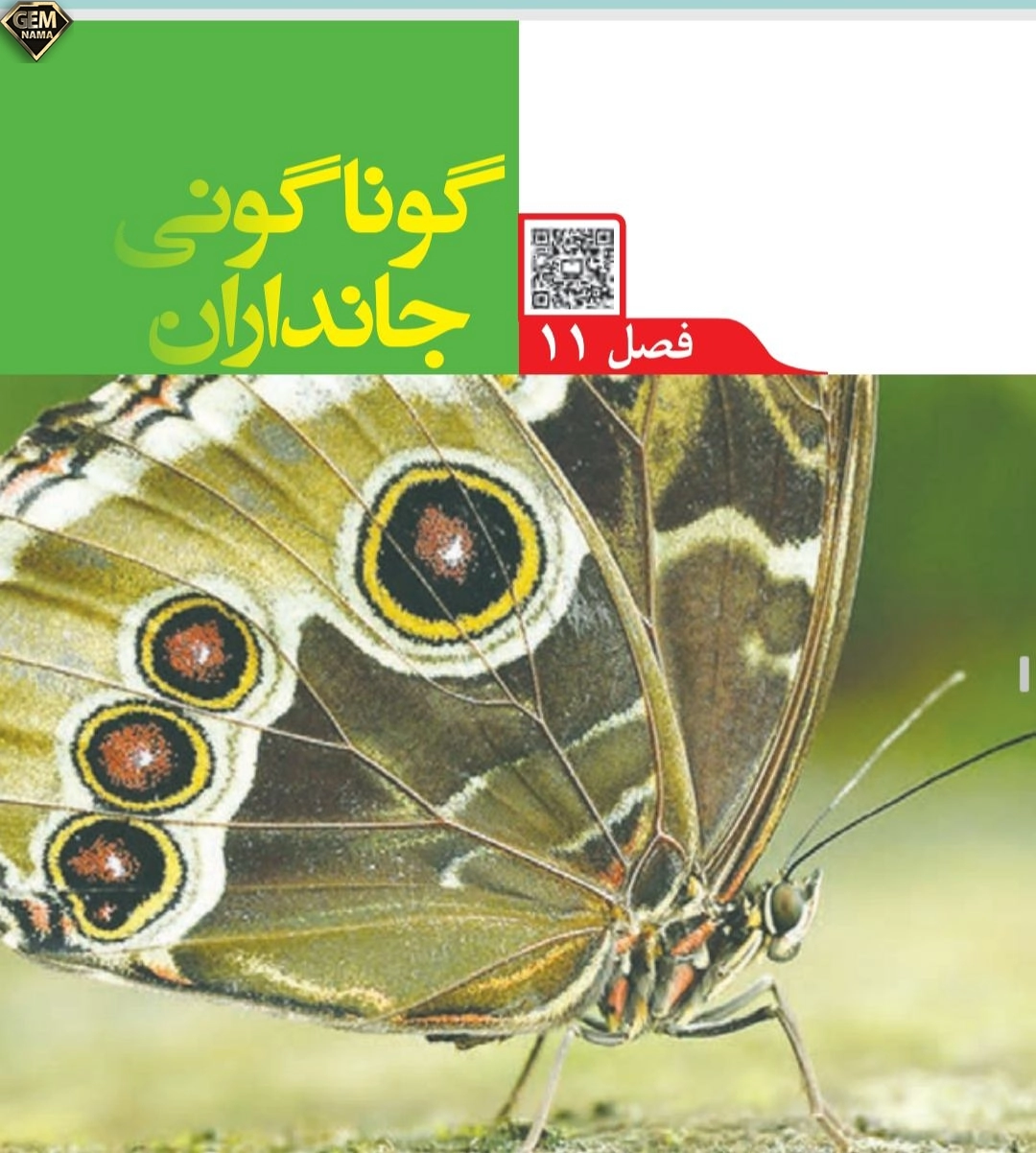 ارزشیابی فصل ۱۱علوم تجربی نهم