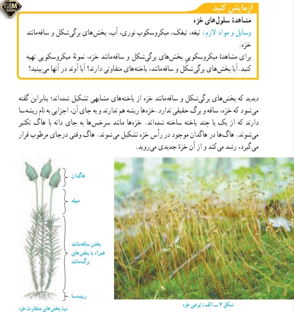 جواب آزمایش کنید صفحه ۱۳۸علوم تجربی نهم