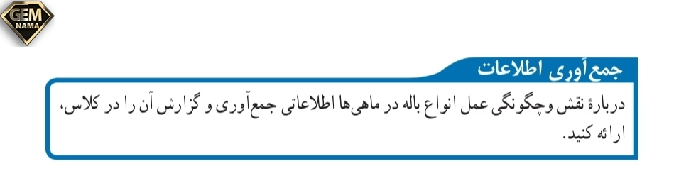 جواب جمع آوری اطلاعات صفحه ۱۵۳علوم تجربی نهم