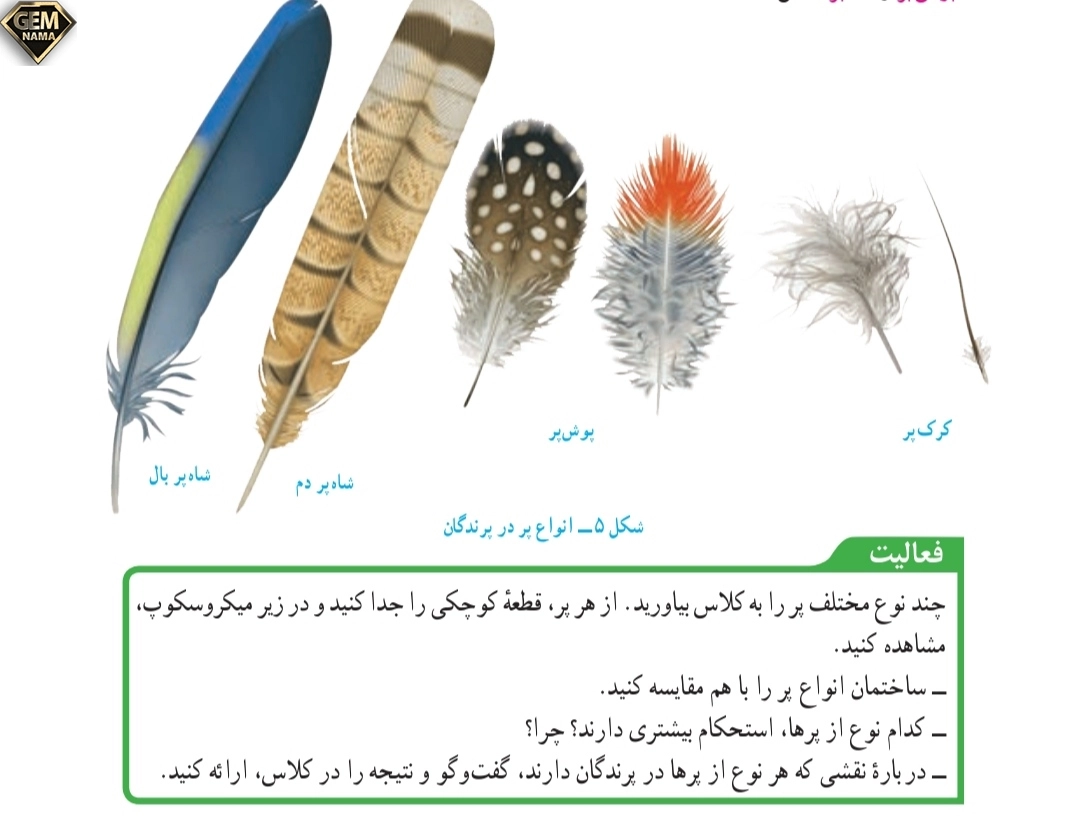 جواب فعالیت صفحه ۱۵۸علوم تجربی نهم