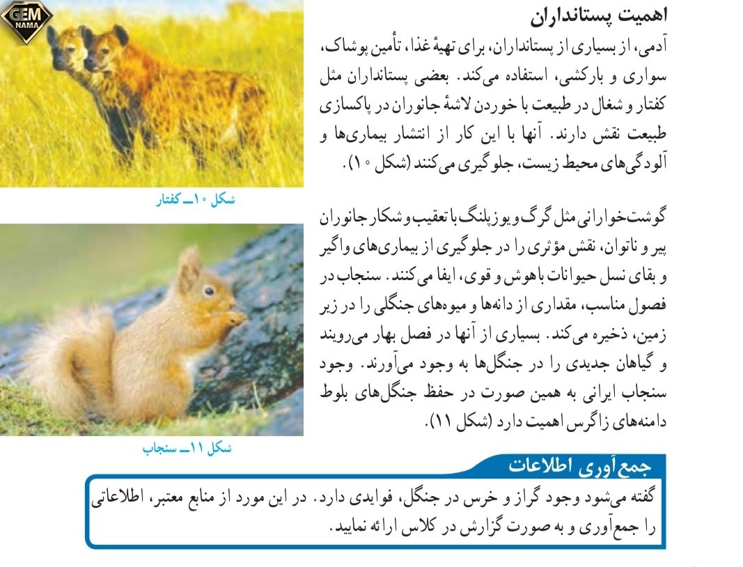 جواب جمع آوری اطلاعات صفحه ۱۶۲علوم تجربی نهم