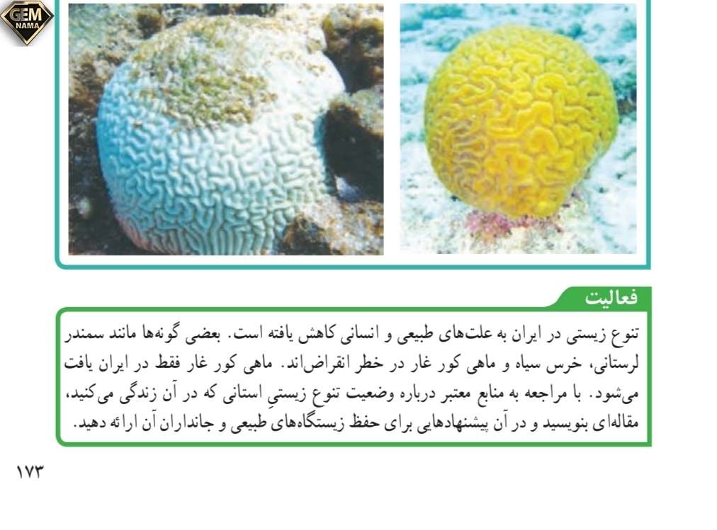 جواب فعالیت صفحه ۱۷۳ علوم تجربی نهم