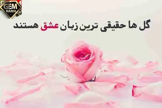 25 متن زیبا در مورد گل ها برای پست و کپشن اینستاگرام