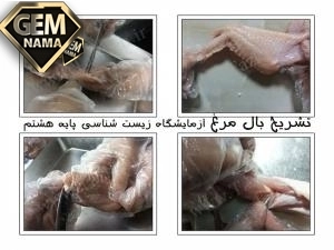فعالیت صفحه 45علوم تجربی هشتم