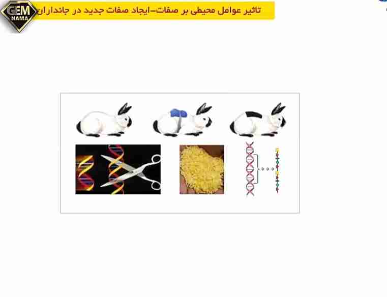 چه نمونه های از تاثیر محیط بر صفات ارثی می شناسید- علوم هشتم