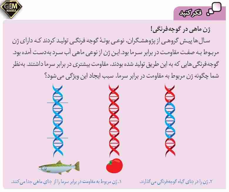 فکر کنید صفحه 62 علوم تجربی پایه هشتم