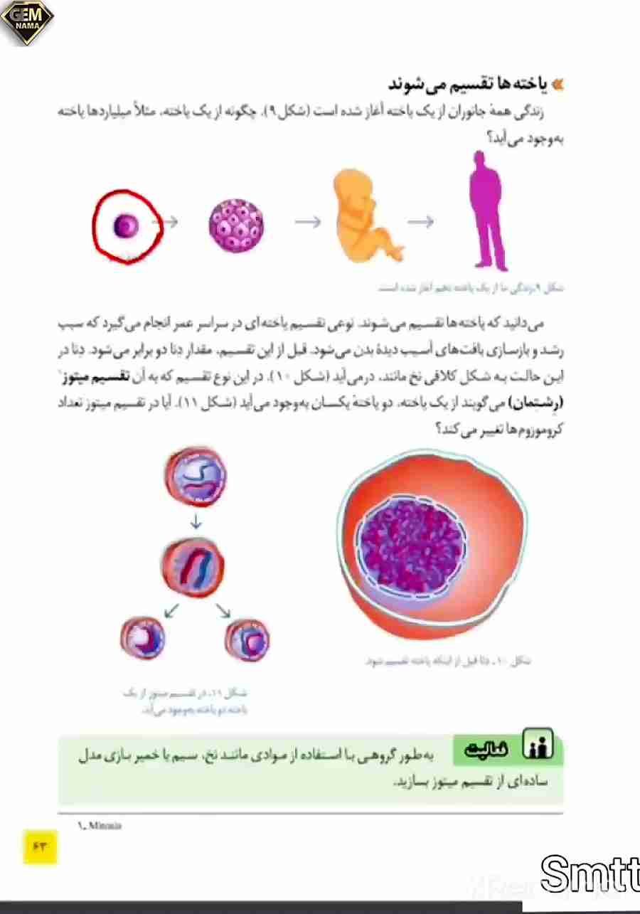 فعالیت صفحه 63علوم تجربی پایه هشتم