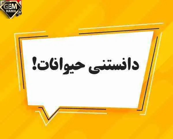 دانستنی های جالب و شگفت انگیز درباره حیوانات