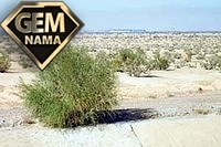 تحقیق و مقاله درباره سجزی
