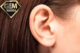 معنی ضرب المثل آویزه گوش کردن