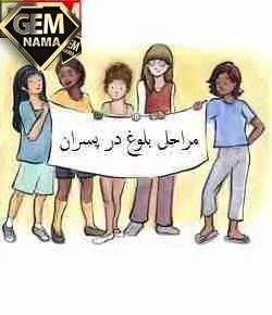تحقیق درباره انواع بلوغ