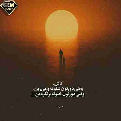 یک شب دلی به مسلخ خونم کشید و رفت