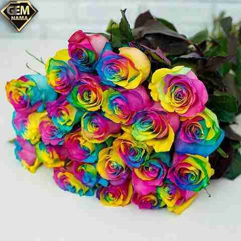 آهنگ من توبه کردم از عشق