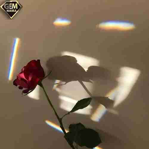 دانلود آهنگ ترکی گل من گریه نکن همه چی درست میشه