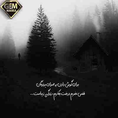 میرم من از اینجا میرم