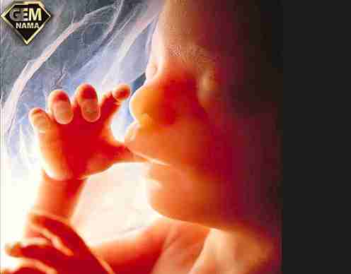 نکاتی درباره حرکت جنین در شکم مادر