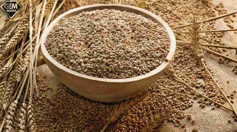 سبوس گندم برای چی خوبه