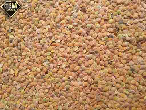 قدومه برای چی خوبه