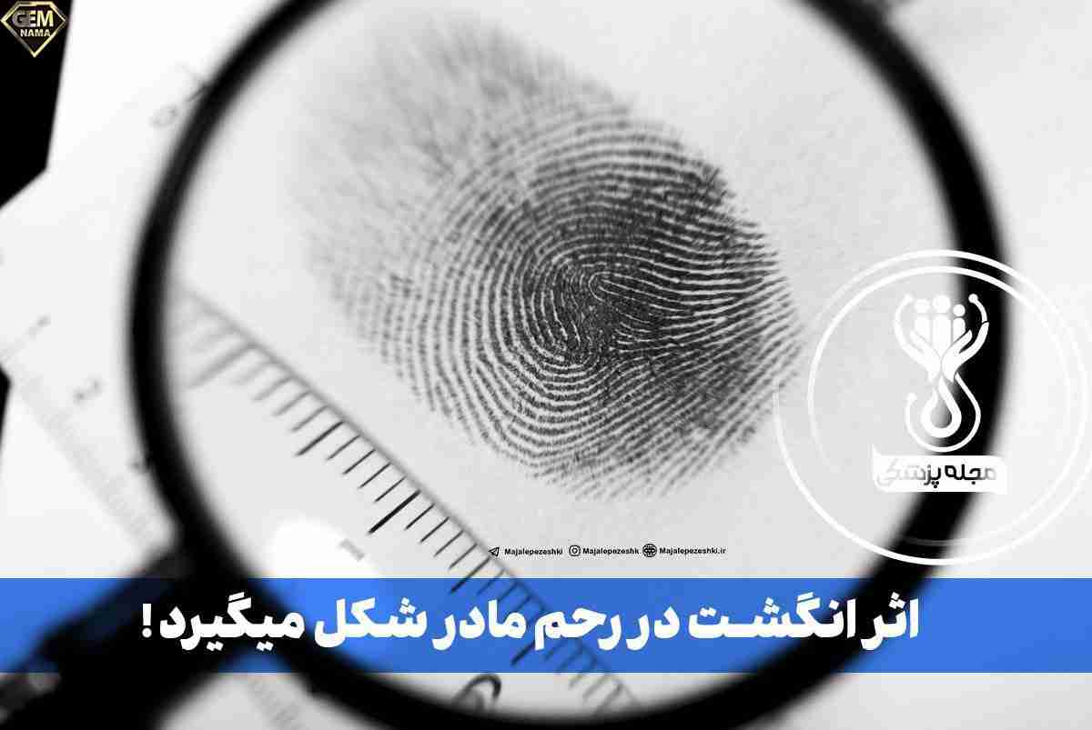 اثر انگشت در رحم مادر شکل میگیرد