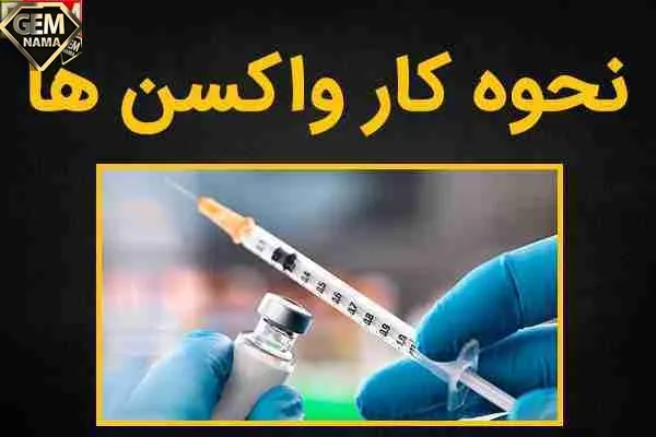 واکسن ها چگونه ویروس ها را از بین می برند