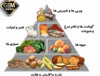 سوتغذیه و برنامه غذایی ناسالم دلیل افت ای کیو ایرانی ها