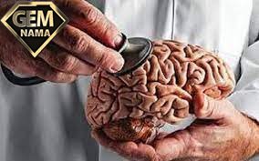 معاشرت کنید تا مغزتان کوچک نشود