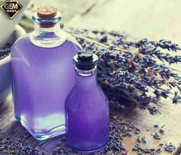 رایحه هایی که سرحالتان میکند